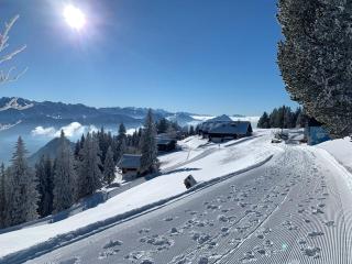 Ferienwohnung Rigi-Scheidegg Ost, Autofrei - Goldau - 2