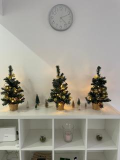 Flowery Penthouse in city centre of Thessaloniki - 9