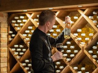 Sen i Wino, domki na winnicy ze strefą SPA - Żywiec - 6