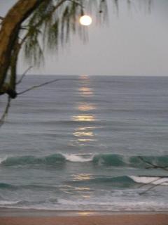 Andari Holiday Apartments - Sunshine Beach - 6