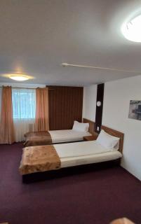 MOTEL POPAS TALMACIU - Tălmaciu - 3
