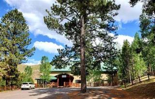 Edelweiss Resort Greer - Greer - 0