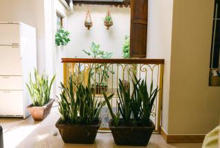 Caravan Serai Amour - 7