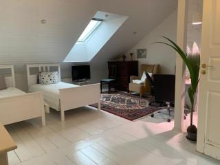 Tampere keskusta ainutlaatuinen iso huone oma kph puutalo-osakkeessa - 3