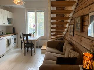 Tampere keskusta ainutlaatuinen iso huone oma kph puutalo-osakkeessa - 2