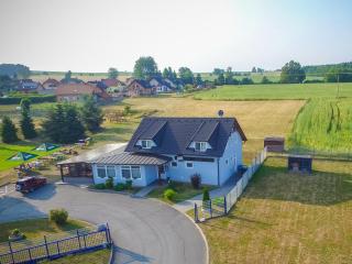 Penzion-Restaurant U Švábků - Tachov - 6