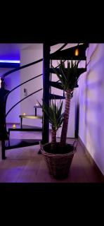 Dm cocooning - Richemont - 2