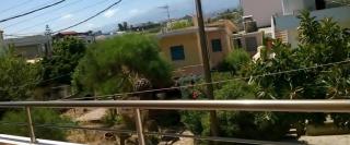 Iolkos Hotel Apartments - Kato Daratso - 7