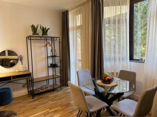 Sana Ski apartment 313A in Flora, Borovets - 9