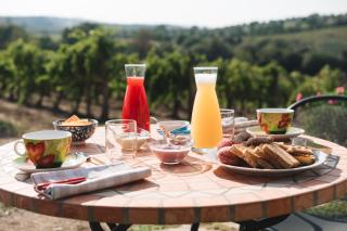 Agriturismo Podere Ristella - Wine&Food - Montemassi - 5