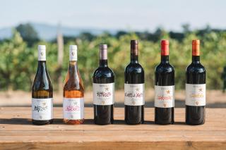 Agriturismo Podere Ristella - Wine&Food - Montemassi - 1