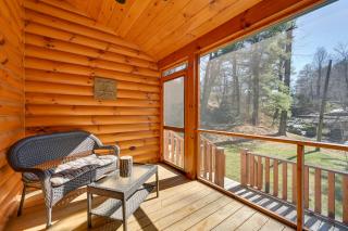 Ennice Cabin with Waterfall Near Blue Ridge Pkwy! - Ennice - 3