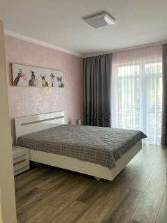 Mint Apartment Солнечное Закарпатье - Polyana - 6