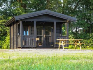 Holiday Hut - Bornerbroek - 3