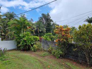 Delices du Papillon - 5