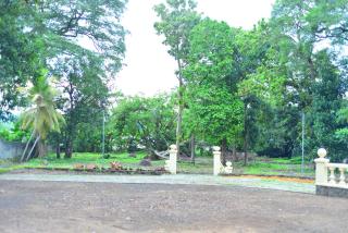 Blue Lotus Resorts Piliyandala-Colombo - Piliyandala - 5