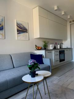 Apartament w centrum miasta - Łódź - 1