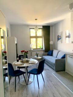 Apartament w centrum miasta - Łódź - 9