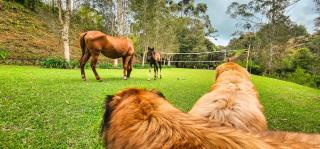 Finca La Hacienda - 7