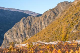 Mt Rosa Lodge Boutique Vineyard Accommodation - Gibbston - 4