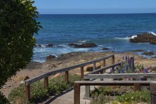 2116 Windsor Blvd. Marine Terrace - 5