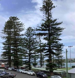Seabreeze Luxury Apartment Kiama - Kiama - 7