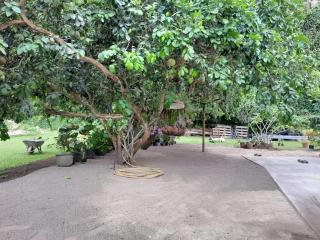 CHEZ VAIANA - Parea - 4