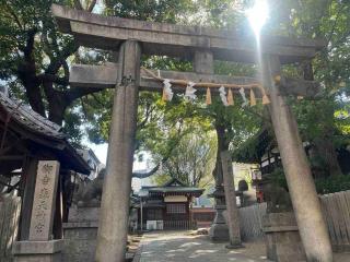 Direct to Namba,Korean town202 - Osaca - 8