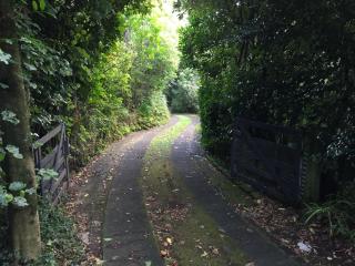 Nikau Retreat - New Plymouth - 5