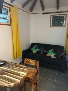 Joli bungalow fleuri - Les Abymes - 6