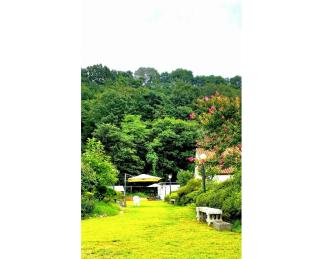 Songjukheon Pension - Damyang - 9