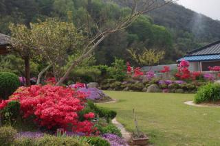 Songjukheon Pension - Damyang - 8