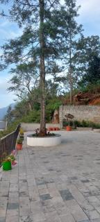 HillTop in greany meadows yercaud - Yercaud - 9