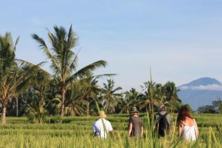 Wapa di Ume Ubud - Ubud - 9