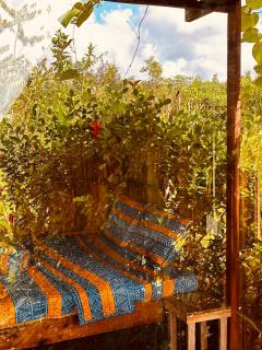 Bungalow - Farmstay Hoa Rừng U Minh - Cà Mau - 8