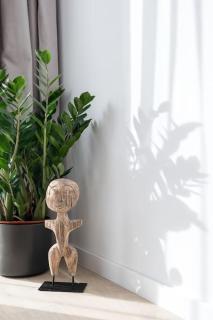 Tribal 1BR in Aviatiei - Bucarest - 9