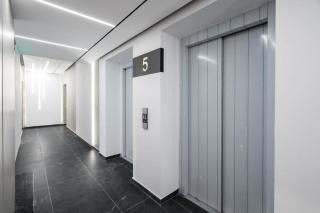 Tribal 1BR in Aviatiei - 5