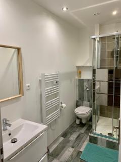 Le passage de Hugues 1 chambre - Troyes - 7