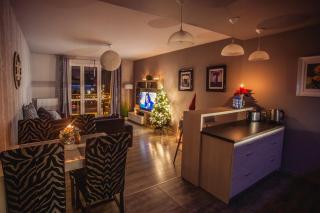 Apartament VIEW Wisla - 9