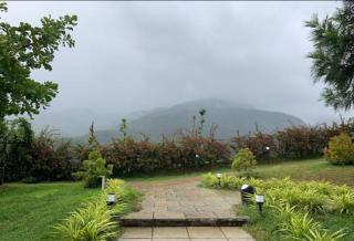 Clouds View Nature Resort - 8