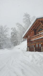 Chalet entier 110m2 avec vue et sauna à 10 min des pistes - Sainte-Foy-Tarentaise - 1