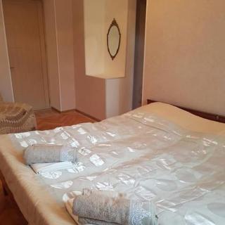 Guest house NINO - Telavi - 9