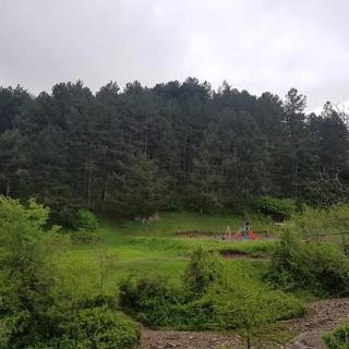 Guest house NINO - Telavi - 8