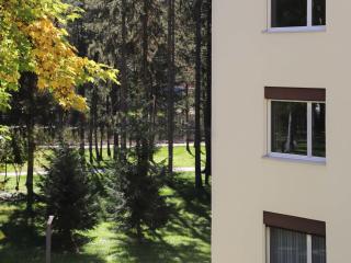 Apartment Allod Park Haus C 701 by Interhome - Davos - 2
