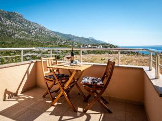 Apartment Golub-3 by Interhome - 1