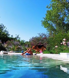 Villa Tilly - Trarivi - 9