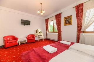 Panoramic Center Villa - Braşov - 2
