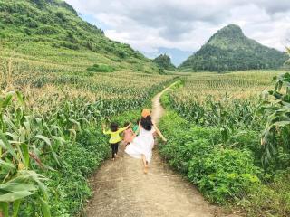 Lý Đạch Homestay&Bungalow - Làng Me - 2