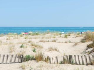 Appartement en bord de mer avec piscine, terrasse et parking privé - FR-1-387-67 - Marseillan - 3