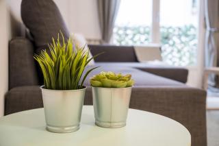 Cozy and central- 1 bedroom 1 bathroom - Chueca - Madrid - 5